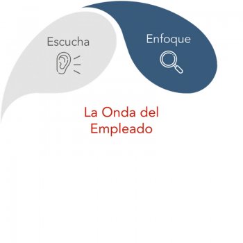 Onda del Empleado - Enfoque